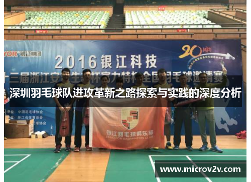 深圳羽毛球队进攻革新之路探索与实践的深度分析