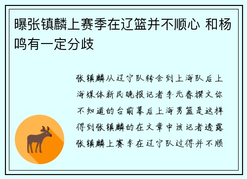 曝张镇麟上赛季在辽篮并不顺心 和杨鸣有一定分歧